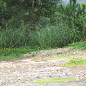 算你狠（DJ慢摇舞曲）