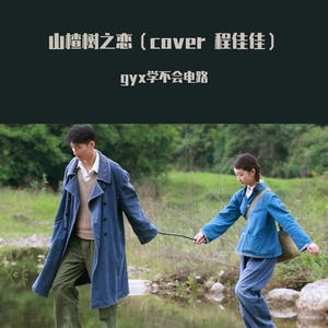 程佳佳-山楂树之恋（cover 程佳佳）（gyx学不会电路 remix）