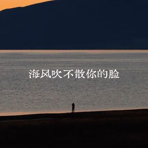 海风吹不散你的脸