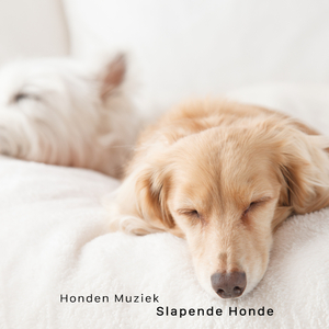 Slapende Honde