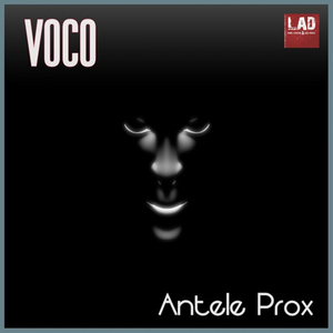Voco (Original Mix)