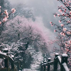 偏爱