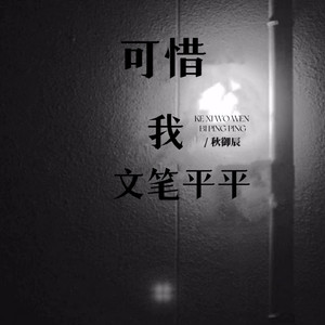 可惜我文笔平平