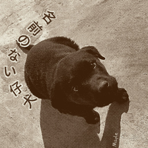 奇妙马戏团 Strange Circus