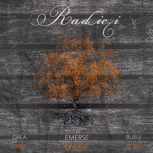 Radici (feat. Drea & Bubu)