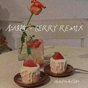 李佳隆-李佳隆 - BERRY REMIX（shadowkiller remix）