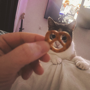 начинаю (кажется)