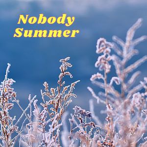 Nobody Summer