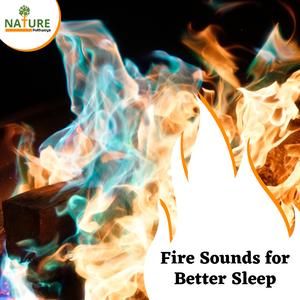 Walking in the Jungle