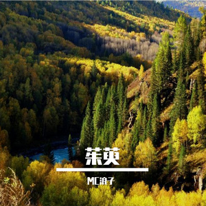 茱萸