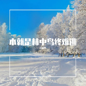 本就是林中鸟终难逃