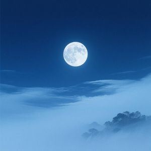 明月如灯照我行