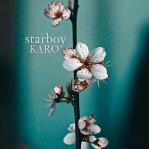 Starboy (Acoustic)