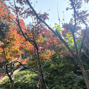 今译友谊