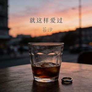 就这样爱过
