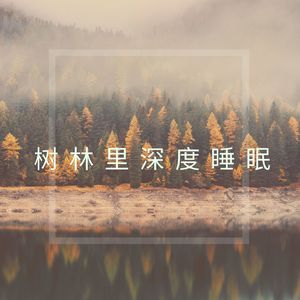 树林里深度睡眠