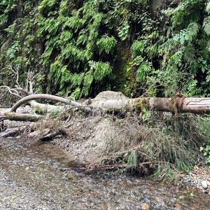 Heartstopper (feat. Vizcor)