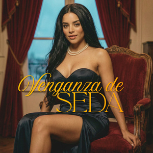Vengaza de seda