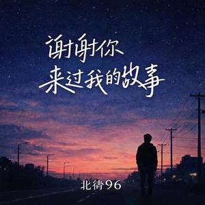 谢谢你来过我的故事