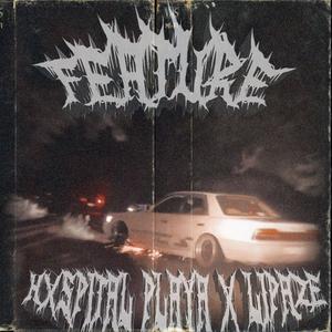 feature (feat. liPaze)