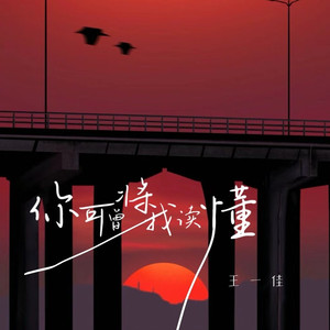 你可曾将我读懂 (女版)