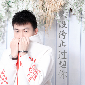 从没停止过想你