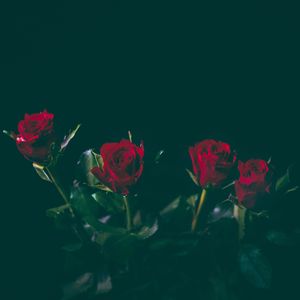 ＂倒流＂Boombap/法老/叙事/Emo Type Beat