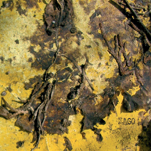 Kuspool On Rongijaam