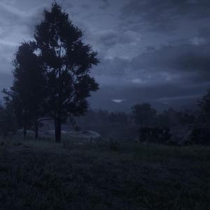 my favorite tree (feat. gothbrydes)