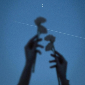 土坡上的狗尾草 (DJ版)