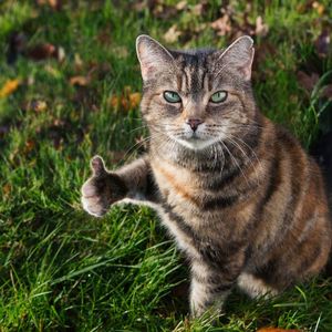 “no name”New Jazz type beat