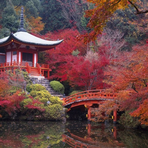 落日亲吻云朵-邓阿九