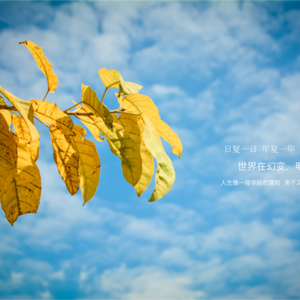 少年爱情故事