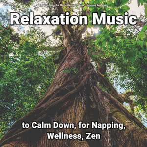 Relaxation Music, Pt. 37