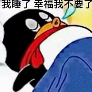 相遇意义与爱的底色