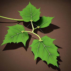 Yog leej twg txaus siab