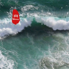 做最野的狼 (DJ版)