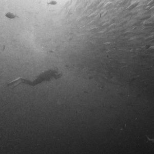 送给朋友的一首歌