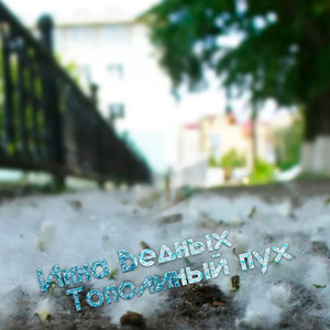 Тополиный пух