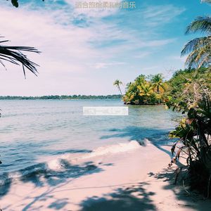 旅馆朦胧的爵士