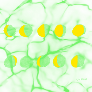 烟雨江南情 伴奏