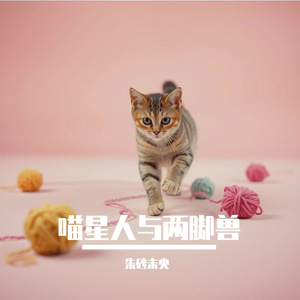 小绒球（写给喵星人的情书）