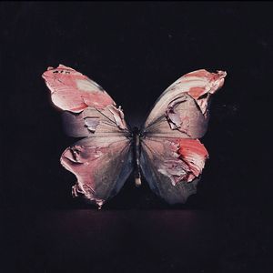 蝴蝶飞（Prod by 4HMusic）