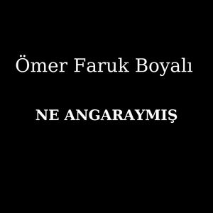 Ne Angaraymış