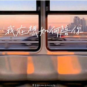 我在想如何陪你