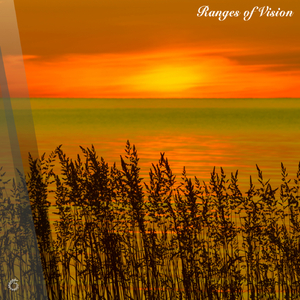 Follow Suit (Original Mix)