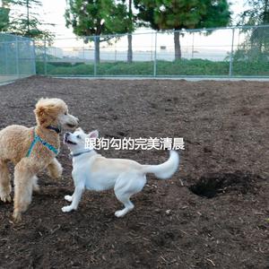 Inspiring Backdrops for This Spring