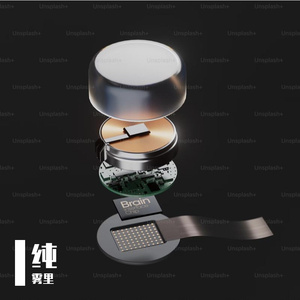 牵手走向爱的梦幻之旅