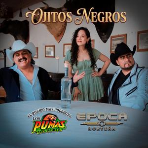 Ojitos Negros