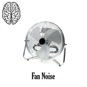 Fan Noise